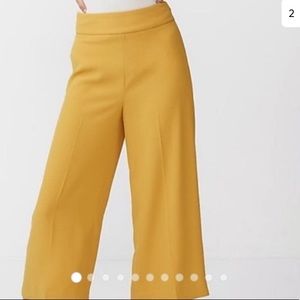 Express Cropped culottes pants high rise 6R